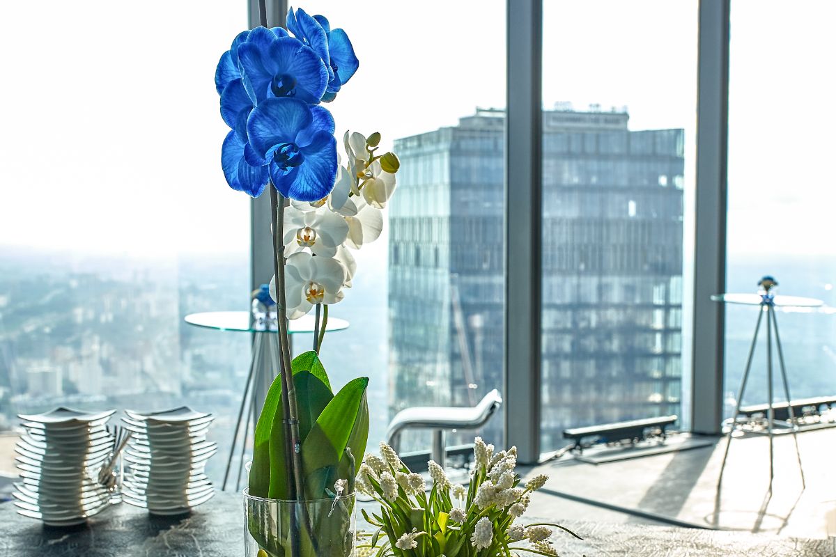 5 Features of Modern Luxury Penthouses